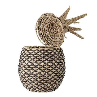 Ananas opbergmand