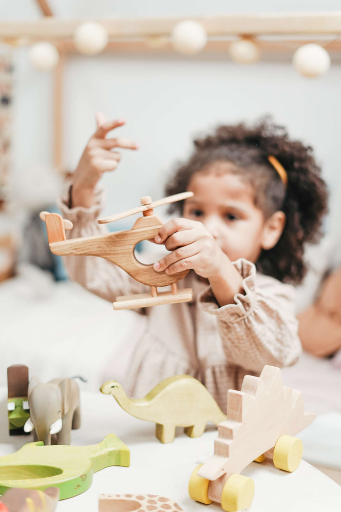 Houten speelgoed kopen - Kinderspeelgoed - Zoethout