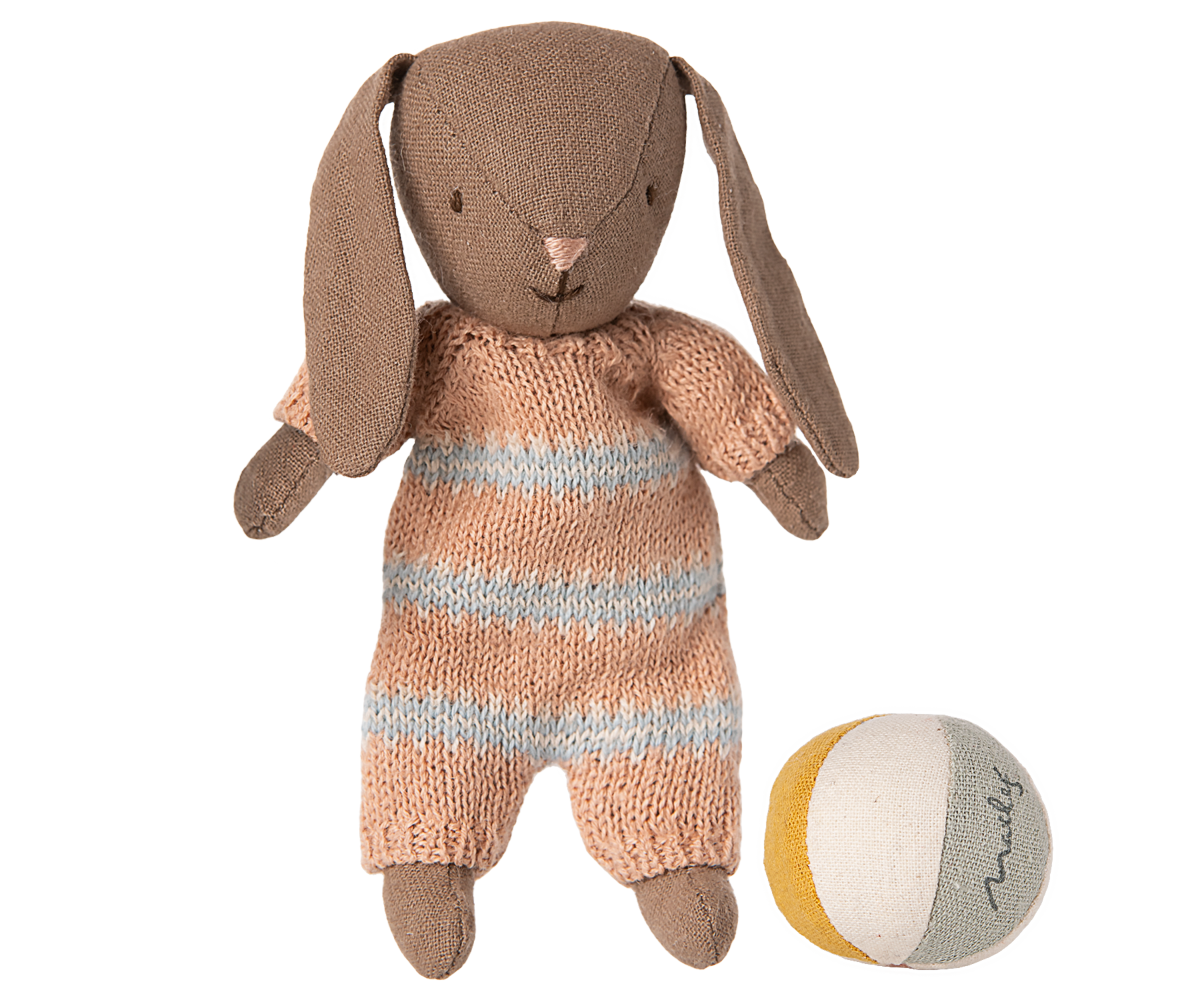 Maileg Bunny Set Micro - Bruin - Roze