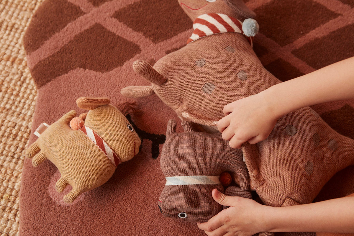 Hunsi Hond Met Twee Puppies Coco &amp; Max - Multi
