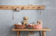 Maileg Puppy Accessoires Rose