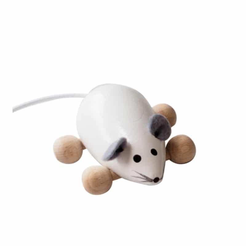 Muis